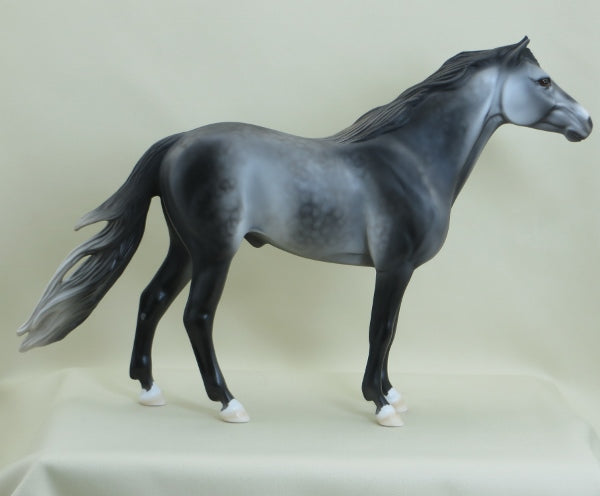 EQUINOX - Dapple Gray Spanish Mustang LE5 3/15