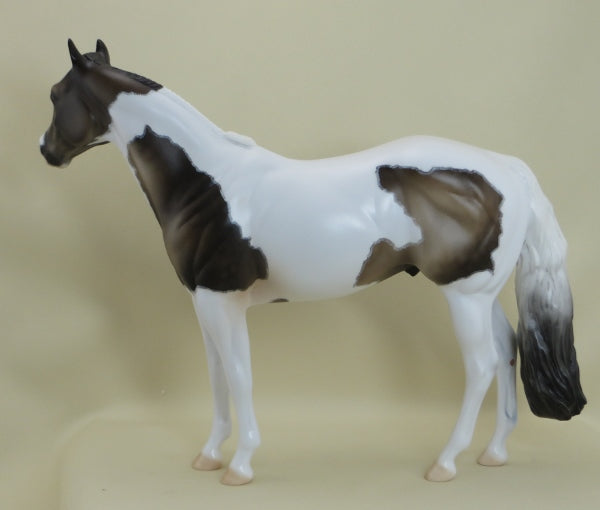 PEDUNCLE - OOAK Sooty Buckskin Paint with Mapping - 3/15