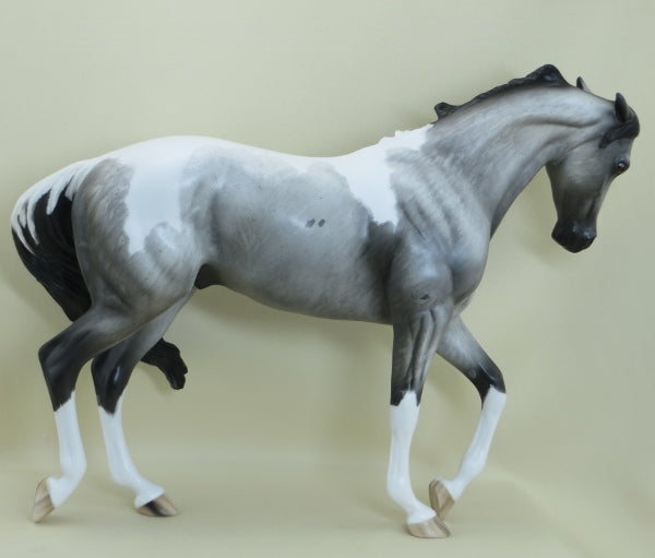 HOLD THE LINE - OOAK Blue Roan Pinto Thoroughbred by Sheryl Leisure 3/15