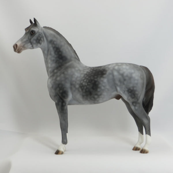 MAMA'S BOX - OOAK Dapple Gray Morgan 5/15