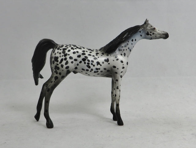 NOTEBOOK EXPRESS - OOAK Appaloosa/Arabian Cross Chip Model Horse