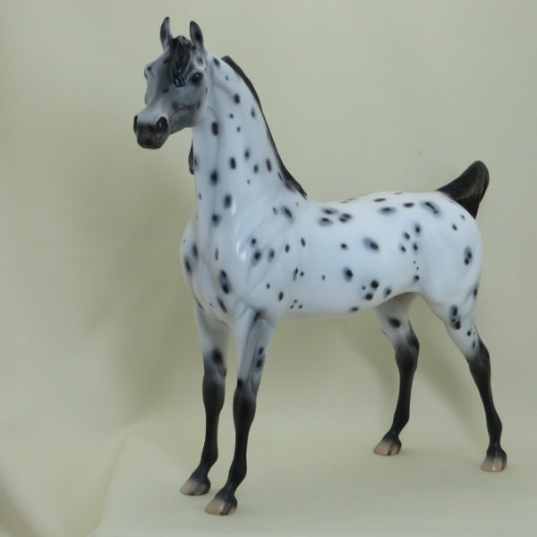 SEQUENCE - OOAK Leopard Appaloosa Arabian Mare 4/15
