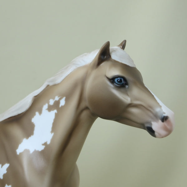 FOND DU LOC - Sooty Buckskin Paint Mustang Model Horse - LE 14 - 4/15