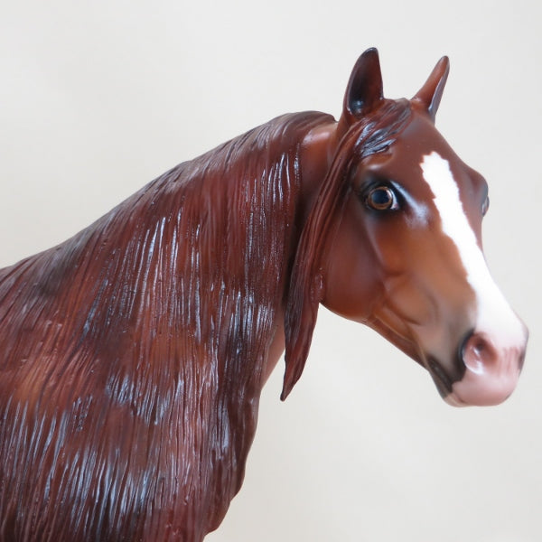 SHINE YOUR WAY - OOAK Dapple Chestnut Extreme Long Mane & Forelock Stock Horse 3/15