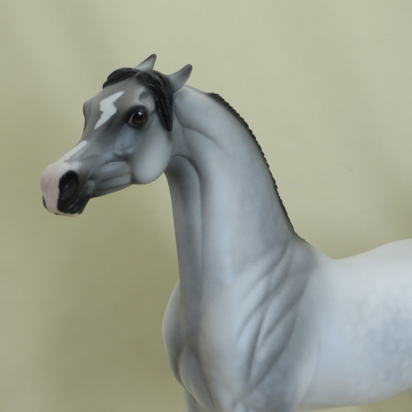 TAKE CHARGE - Dapple Gray Pinned Ear Arabian Model Horse with Black Points - LE2 - 3/15