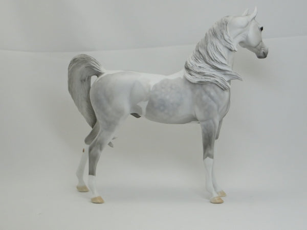 ROOSEVELT - OOAK Light Dapple Gray Pinto Arabian 2/15