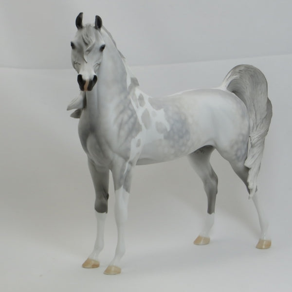 ROOSEVELT - OOAK Light Dapple Gray Pinto Arabian 2/15