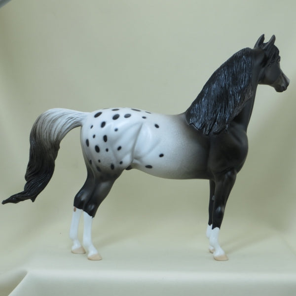 MANITOWOC - OOAK Appaloosa Morgan Model Horse with Blowing Mane - 4/15