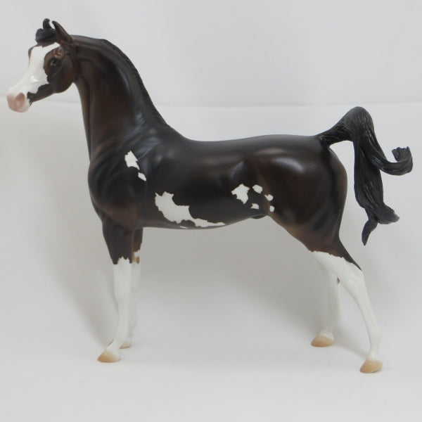 PARVANEH - OOAK Dark Bay Arabian Pinto 2/15