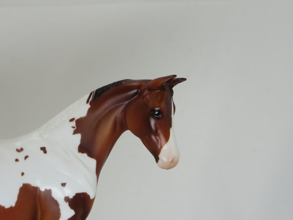 LOVE POTION - OOAK Bay Paint Weanling 2/15