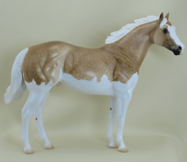 DWYER - OOAK Dapple Palomino Splash Paint Stock 3/15