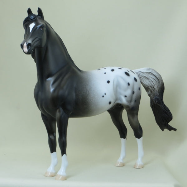 MANITOWOC - OOAK Appaloosa Morgan Model Horse with Blowing Mane - 4/15