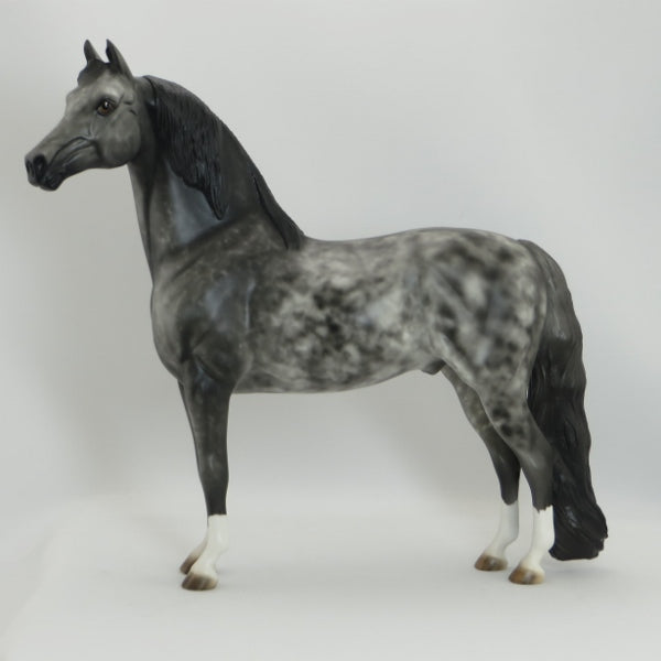 COTTONWOOD - OOAK Black Deco Long Mane Morgan 5/15