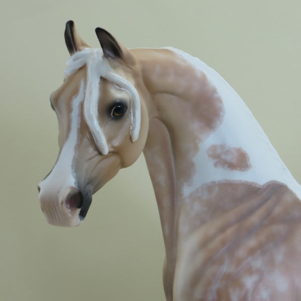 DISNEY - OOAK Dapple Palomino Pinto Arabian 3/15