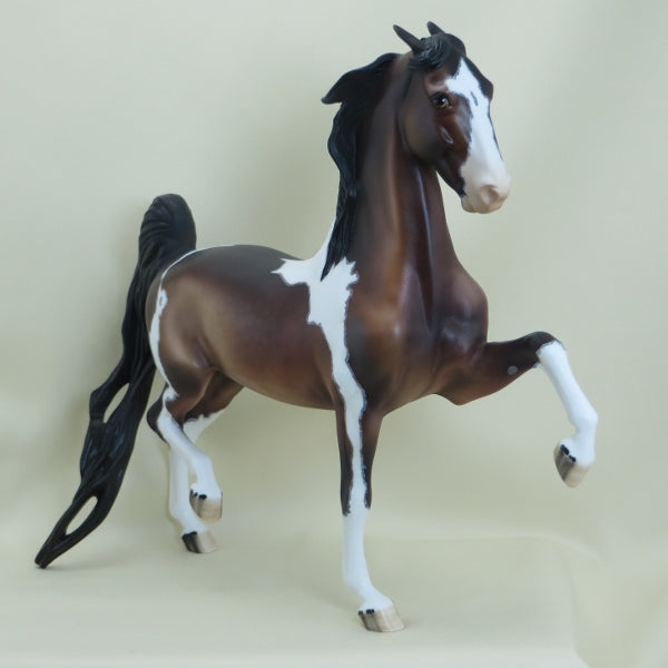 DELANEY - OOAK Dapple Bay Pinned Ear Pinto Saddlebred w/ Mapping 3/15