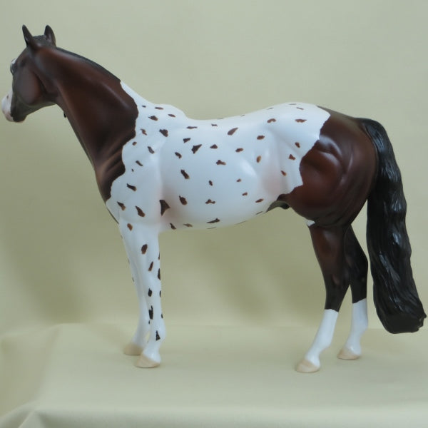 SLICKER - OOAK Bay Appaloosa Stock Horse 3/15