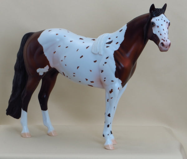 SLICKER - OOAK Bay Appaloosa Stock Horse 3/15