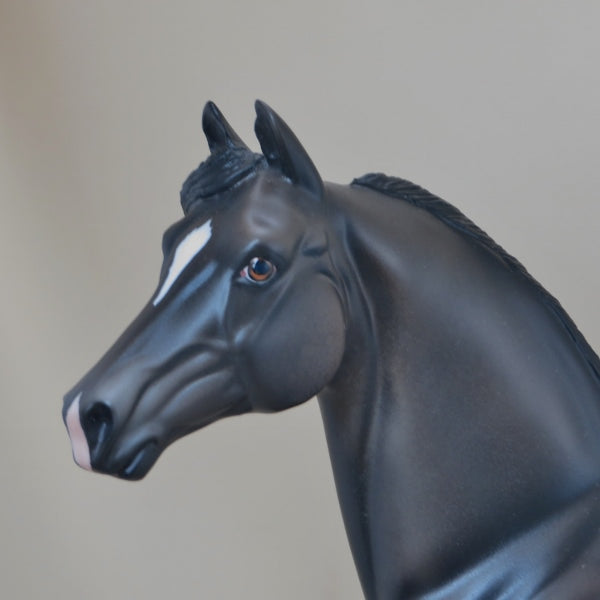 MANITOWOC - OOAK Appaloosa Morgan Model Horse with Blowing Mane - 4/15