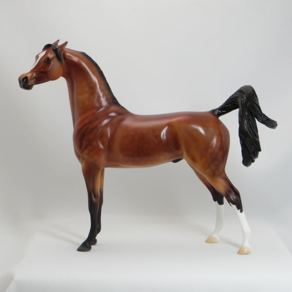 AMISH SUNRISE - OOAK Dapple Bay Pinned Ear Arabian - 5/15