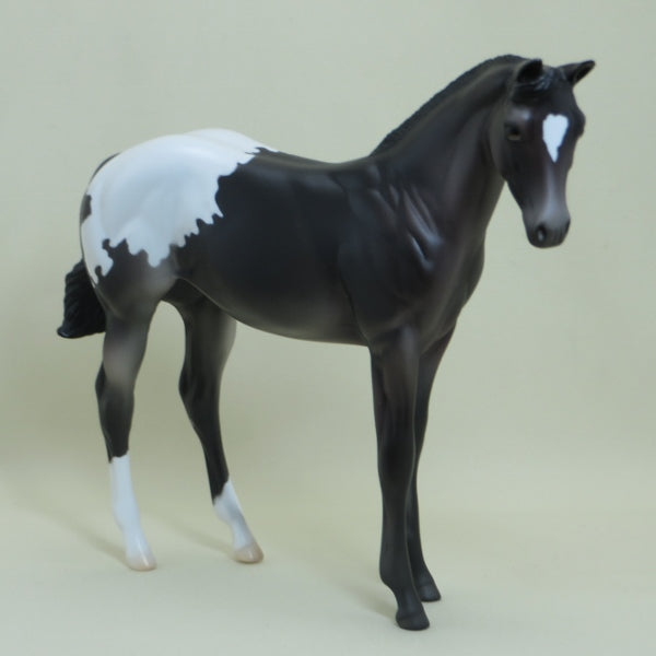 VANISHED PLANET - Black Appaloosa Weanling LE4