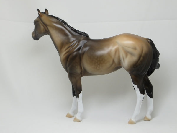 JULIA GRANT - OOAK Dapple Sooty Buckskin Stock Mare 2/15