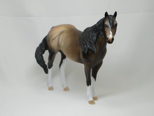 JULIA GRANT - OOAK Dapple Sooty Buckskin Stock Mare 2/15