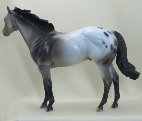 NOVEMBER WIND - OOAK Appaloosa Stock Horse 3/15