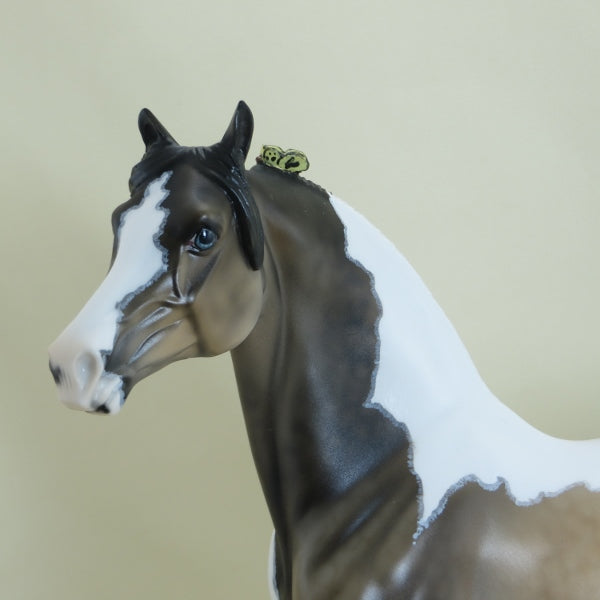 ON THE WING - OOAK Dapple Sooty Buckskin Pinto Morgan Mare with Insects 3/15