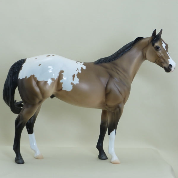 O'COFFEY - OOAK Buckskin Appaloosa Stock Horse - 3/15