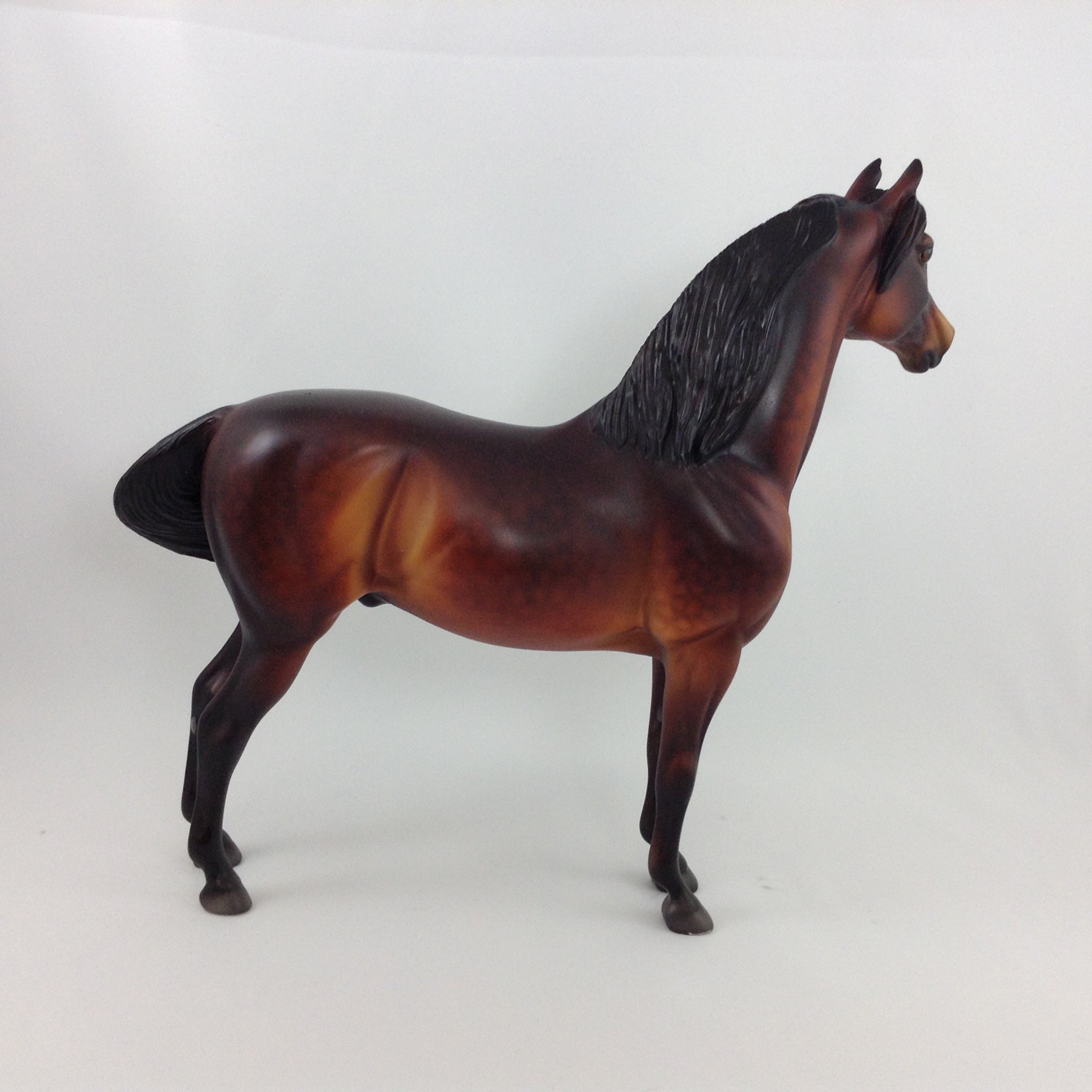 DAMIAN - OOAK Custom Morgan Model Horse
