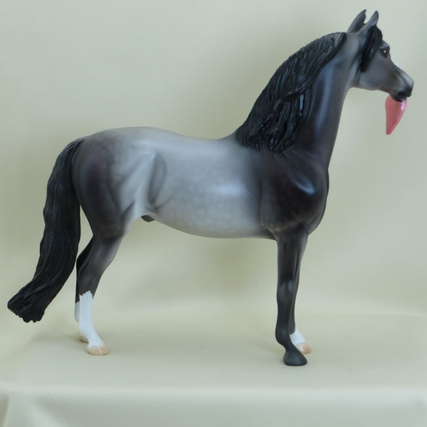 MACQUAID - OOAK Dapple Rose Gray Morgan with "Hugs" Heart - 3/15