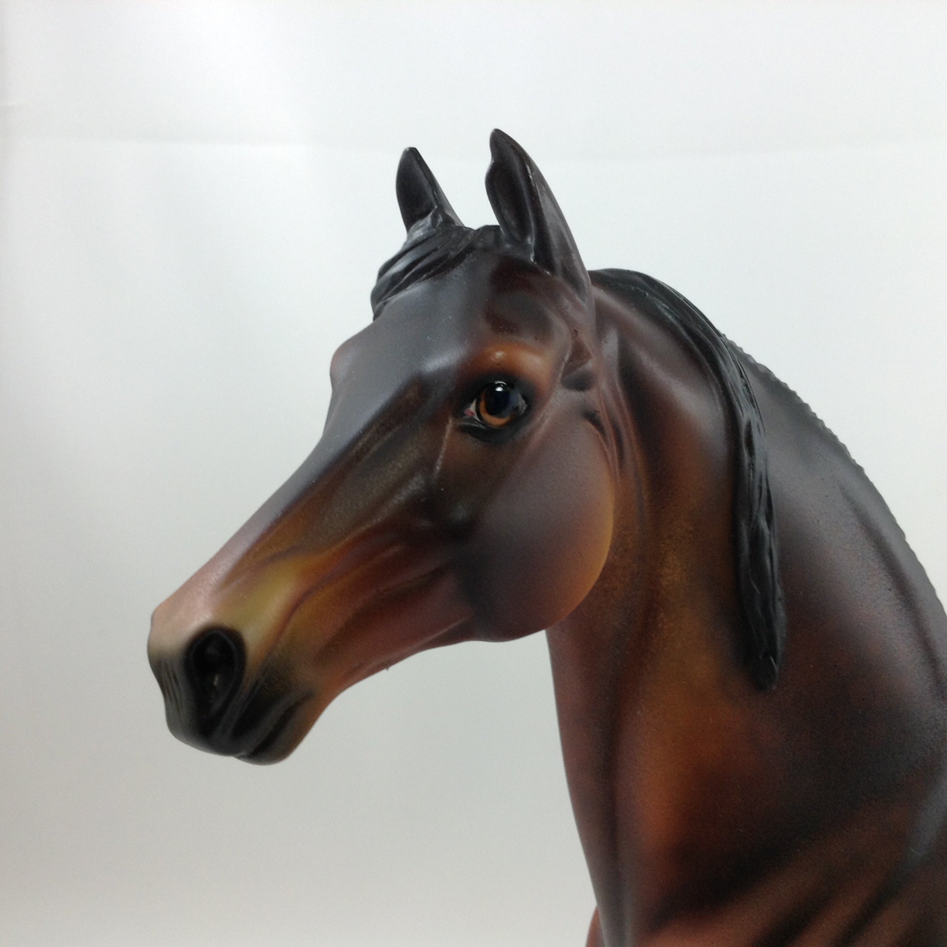DAMIAN - OOAK Custom Morgan Model Horse