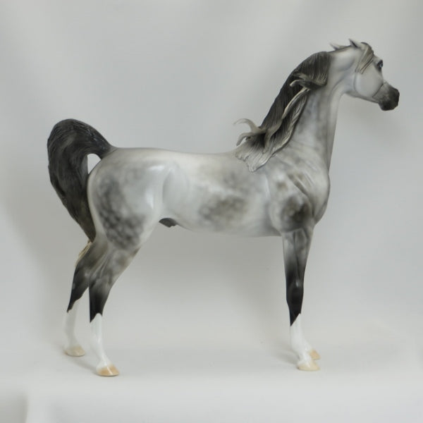 SANTA FE EXPRESS - OOAK Dapple Gray Pinned Ear Arabian 5/15