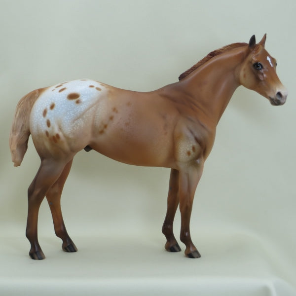 DUPE DUDE - OOAK Chestnut Appaloosa Stock Horse 3/15