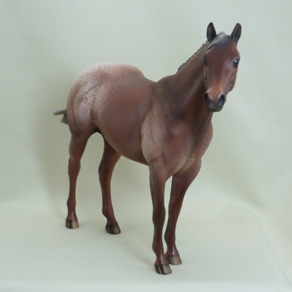 SKY DIVER - OOAK Chestnut Appaloosa with Mottling - 3/15