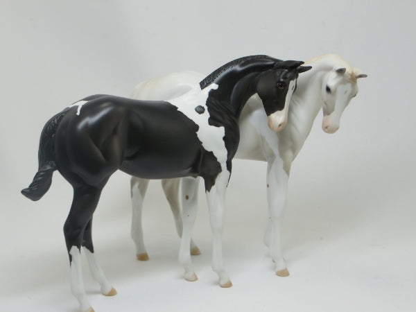 YING- OOAK Black Paint Weanling 2/15