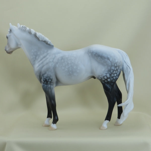 NOLAN - OOAK Star Dapple Gray Stock Horse 3/15