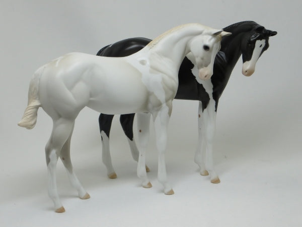 YING- OOAK Black Paint Weanling 2/15