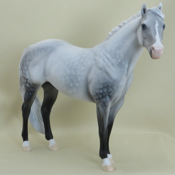 NOLAN - OOAK Star Dapple Gray Stock Horse 3/15