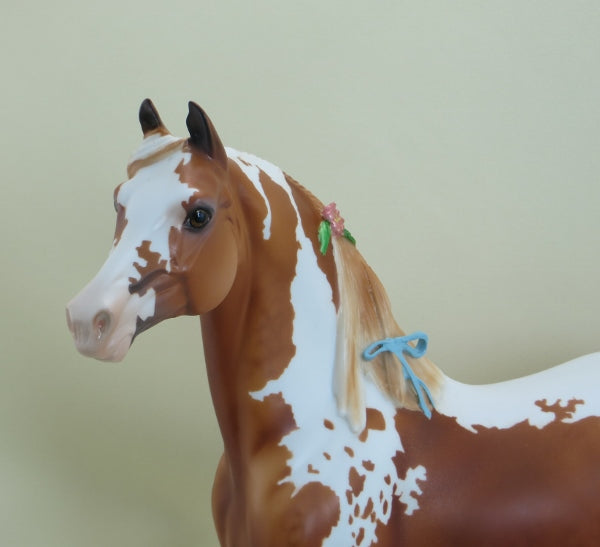 BLOSSOM - OOAK Chestnut Pinto Morgan with Flowers & Ribbons 3/15