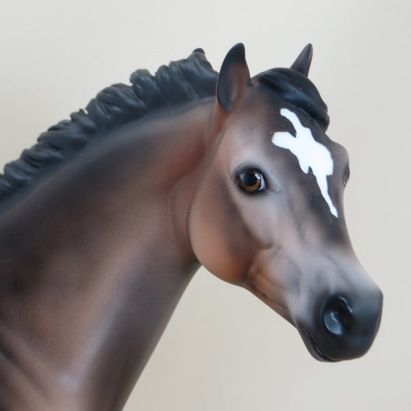 MOYNIHAN - OOAK Dapple Sooty Buckskin Stock Horse 3/15