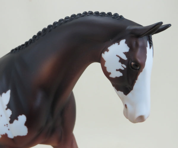 CRIBBAGE - OOAK Seal Bay Overo Paint Pony Pegged 4/15