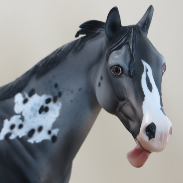 MR. CRUMP DON'T LIKE IT - OOAK Appaloosa Stock Horse - 3/15