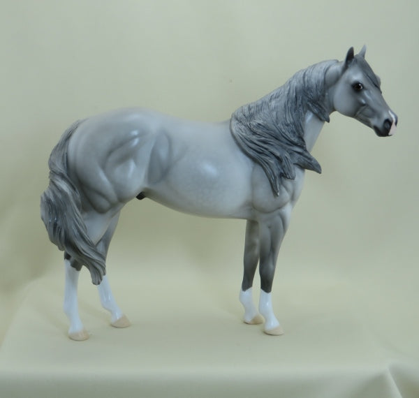 BONKERS - OOAK Dapple Gray Stock Horse - 4/15