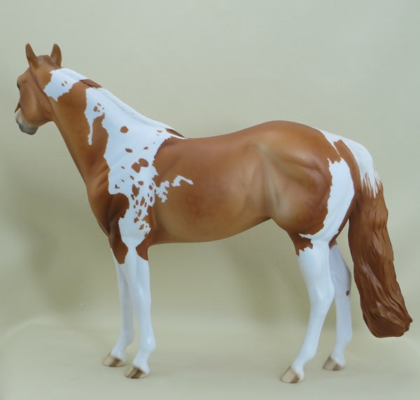 WIKLOW - Dapple Chestnut Paint Stock Horse LE5 3/15