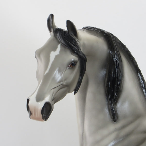 BIRMAN - OOAK Dapple Gray Arabian 5/15