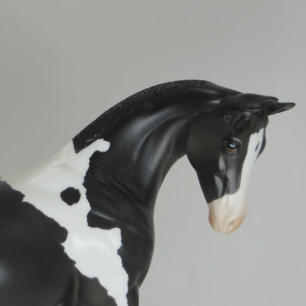 YING- OOAK Black Paint Weanling 2/15