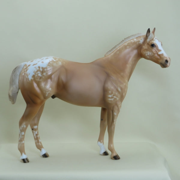HATCH - OOAK Palomino Appaloosa Stock Horse 3/15