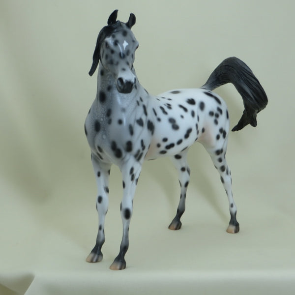 DULUTH - OOAK Leopard Appaloosa Arabian 4/15