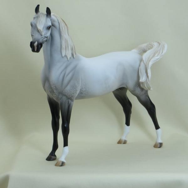 SALTWATER - OOAK Gray with Black Points Arabian 3/15